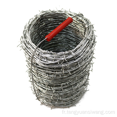 Clôture d'isolement de fil barbelé en fil d'acier